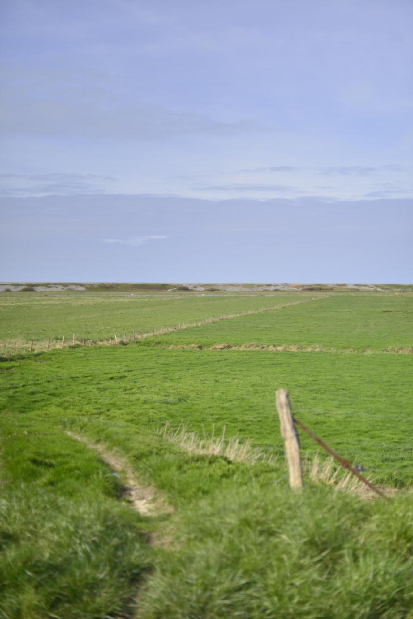 Woignarue Le Cottage De La Baie - Vue Mer En Baie De Somme מראה חיצוני תמונה