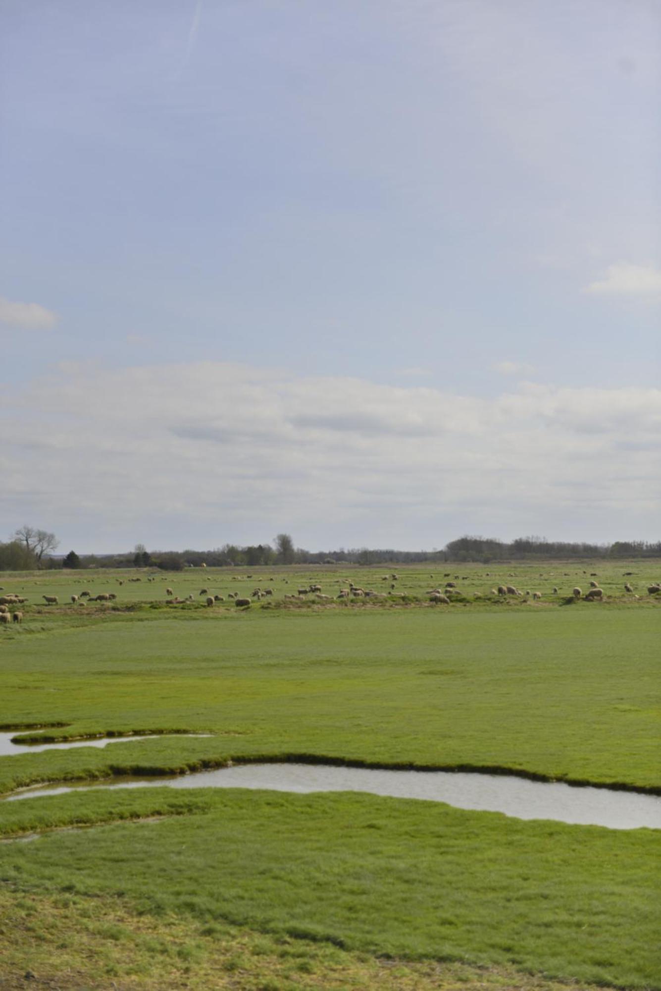 Woignarue Le Cottage De La Baie - Vue Mer En Baie De Somme מראה חיצוני תמונה